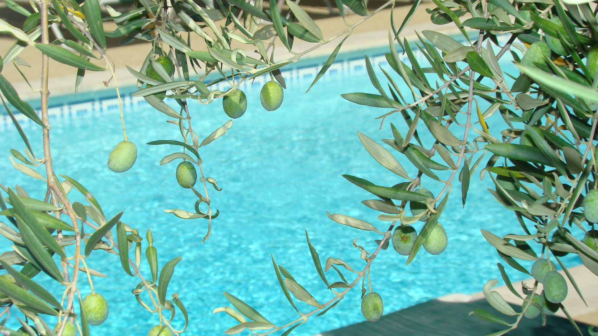 Hôtel du Soleil et Spa