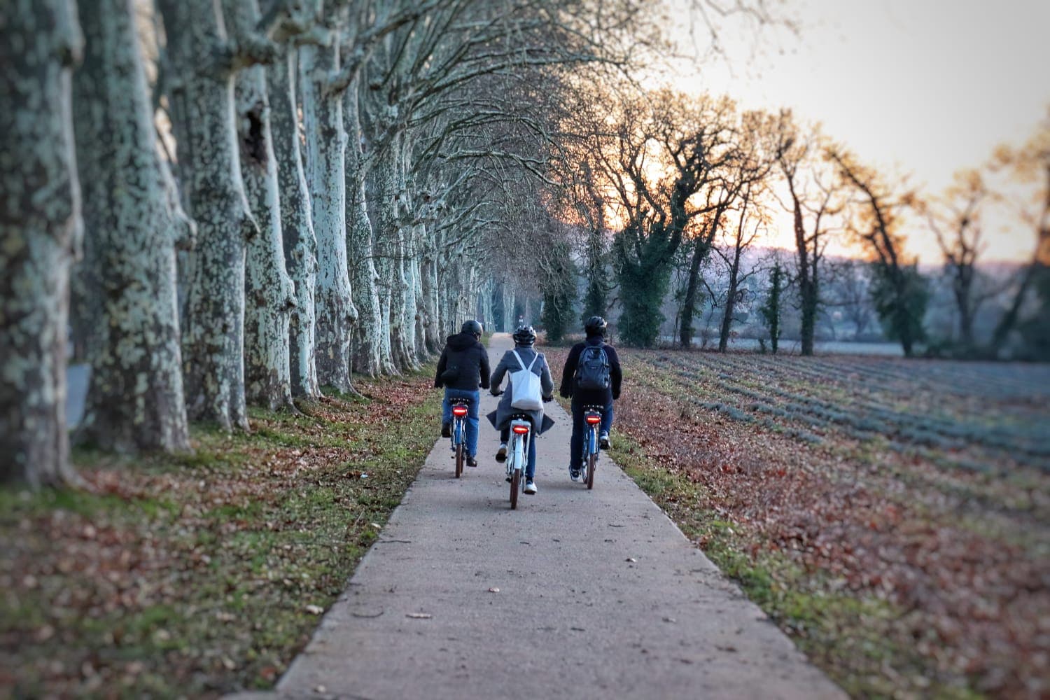 CycloPub - Aix en vélo et segway