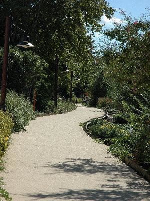 13VI002390_1_WEB.jpg