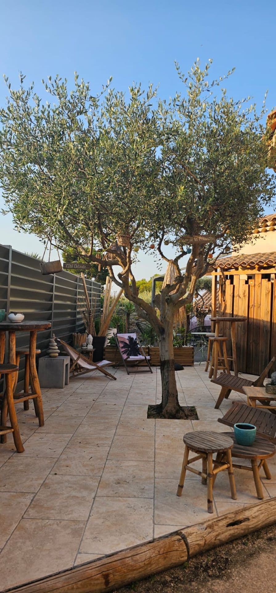 Chante Cigales_La Ciotat