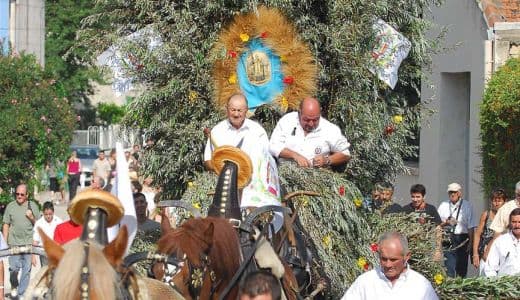 Fête de Saint-Éloi_Boulbon