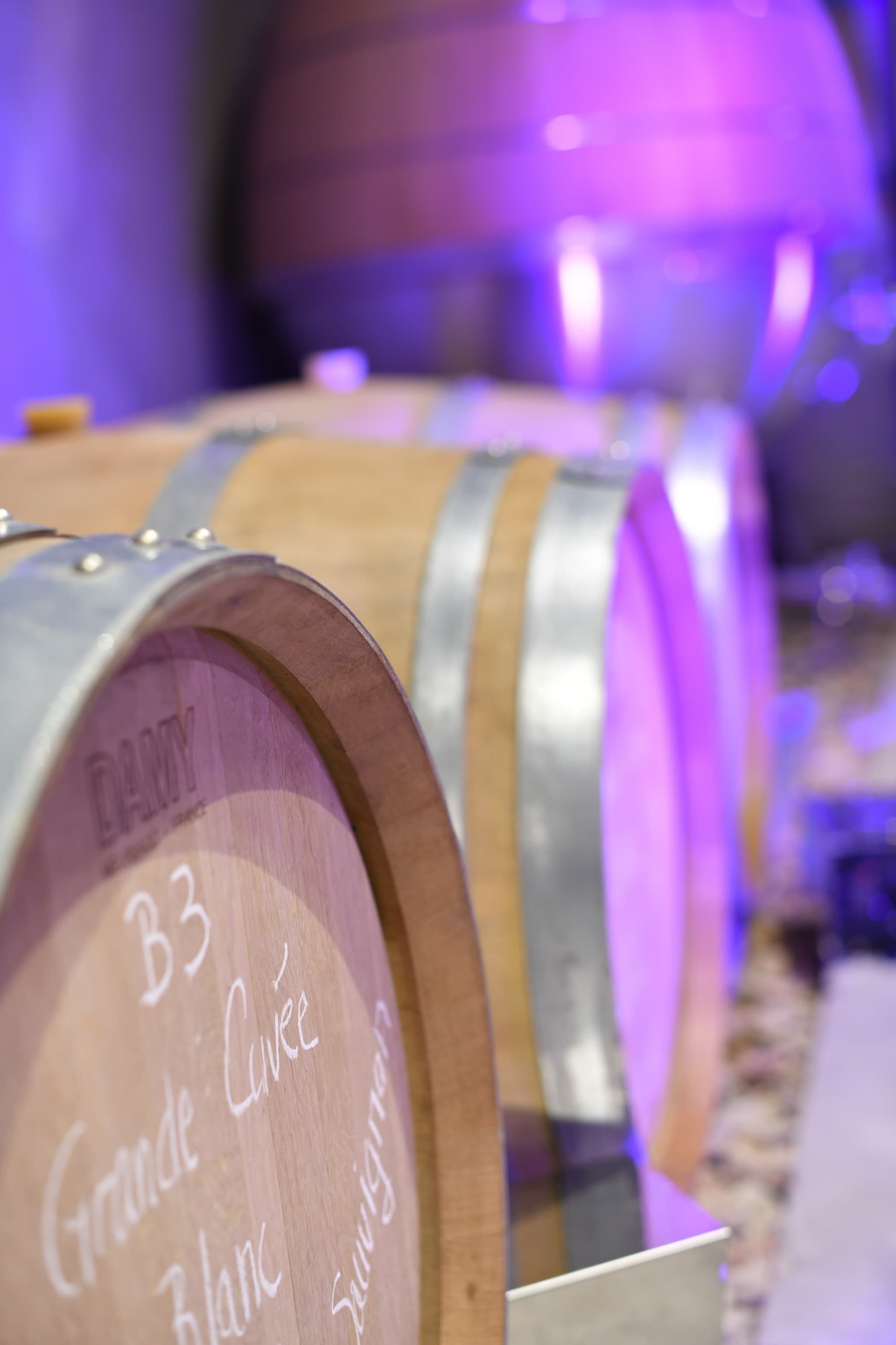 Domaine Tour Campanets