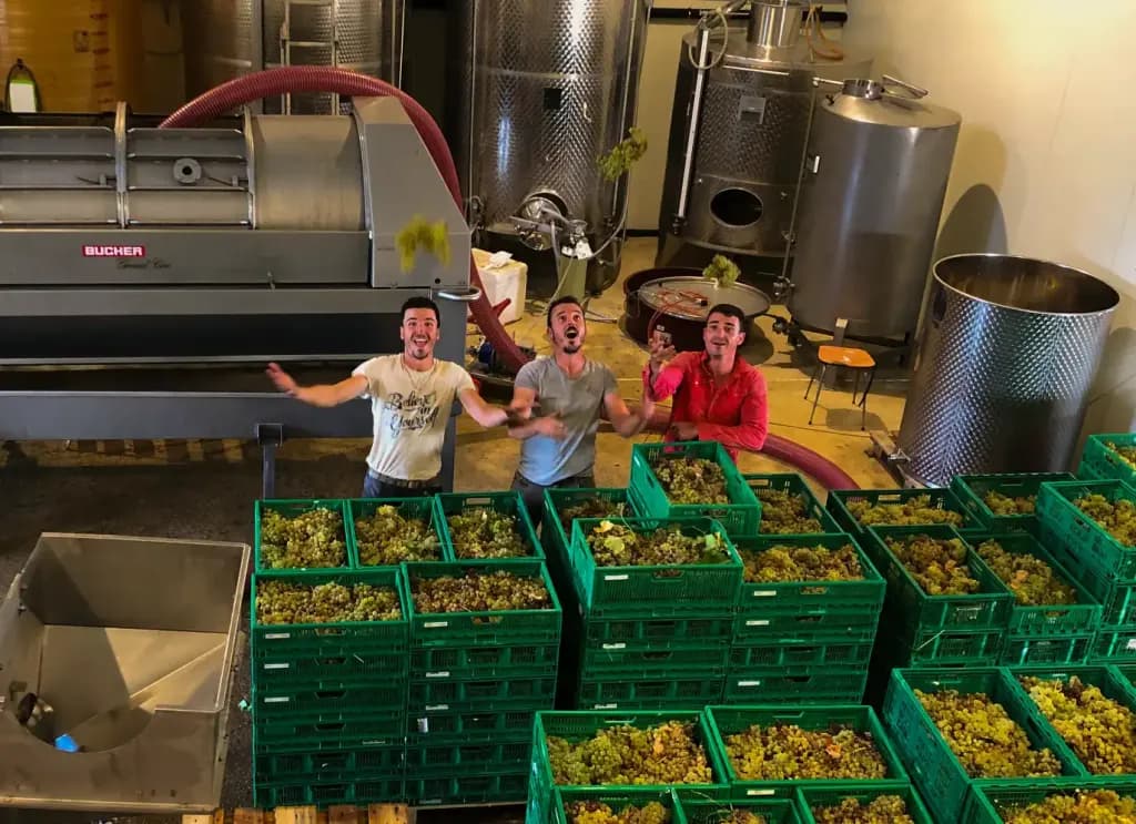 Domaine du Coffre_Pertuis