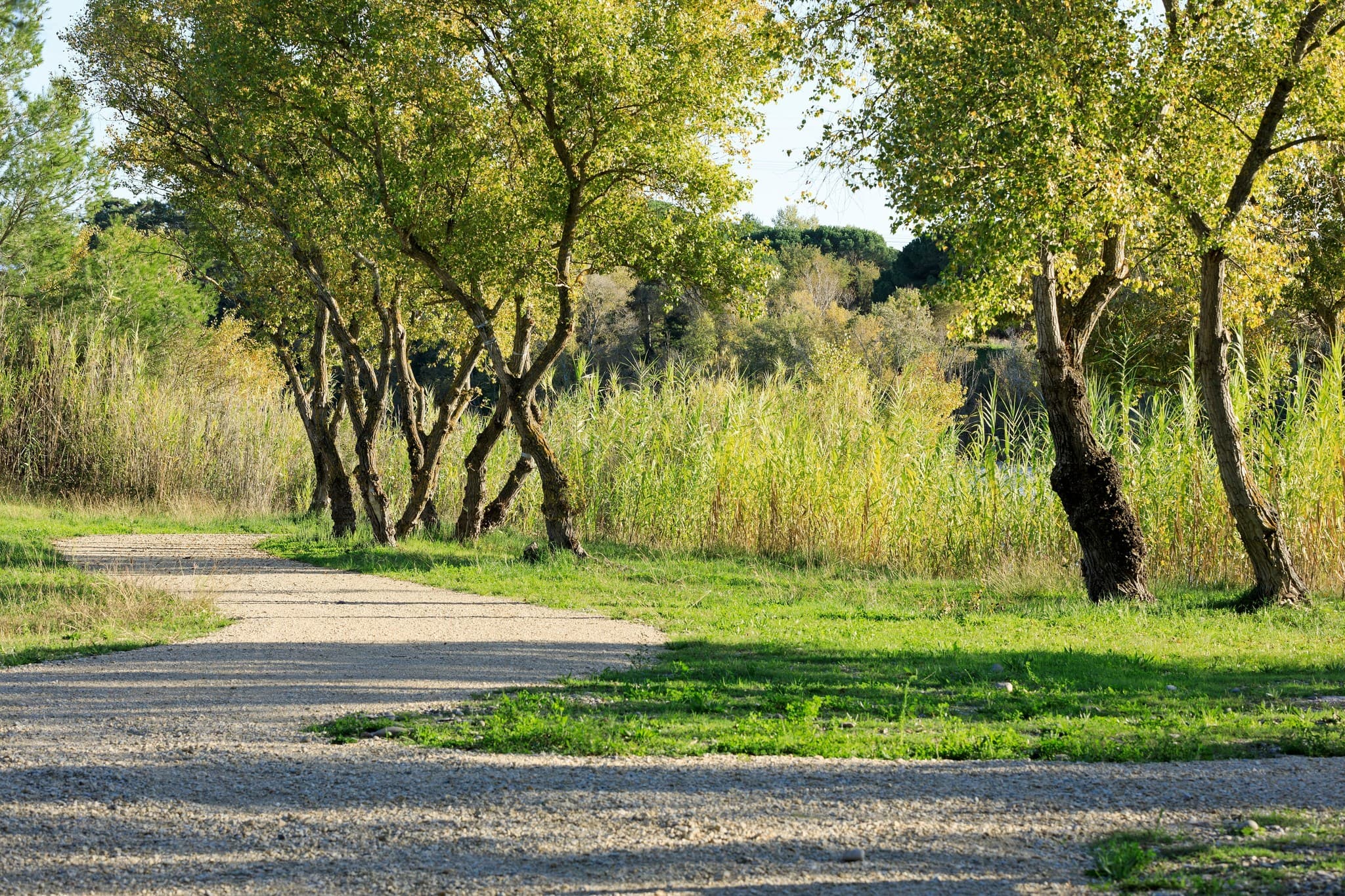 Voie Verte en bord de Durance_Pertuis