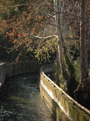 13VI002390_2_WEB.jpg
