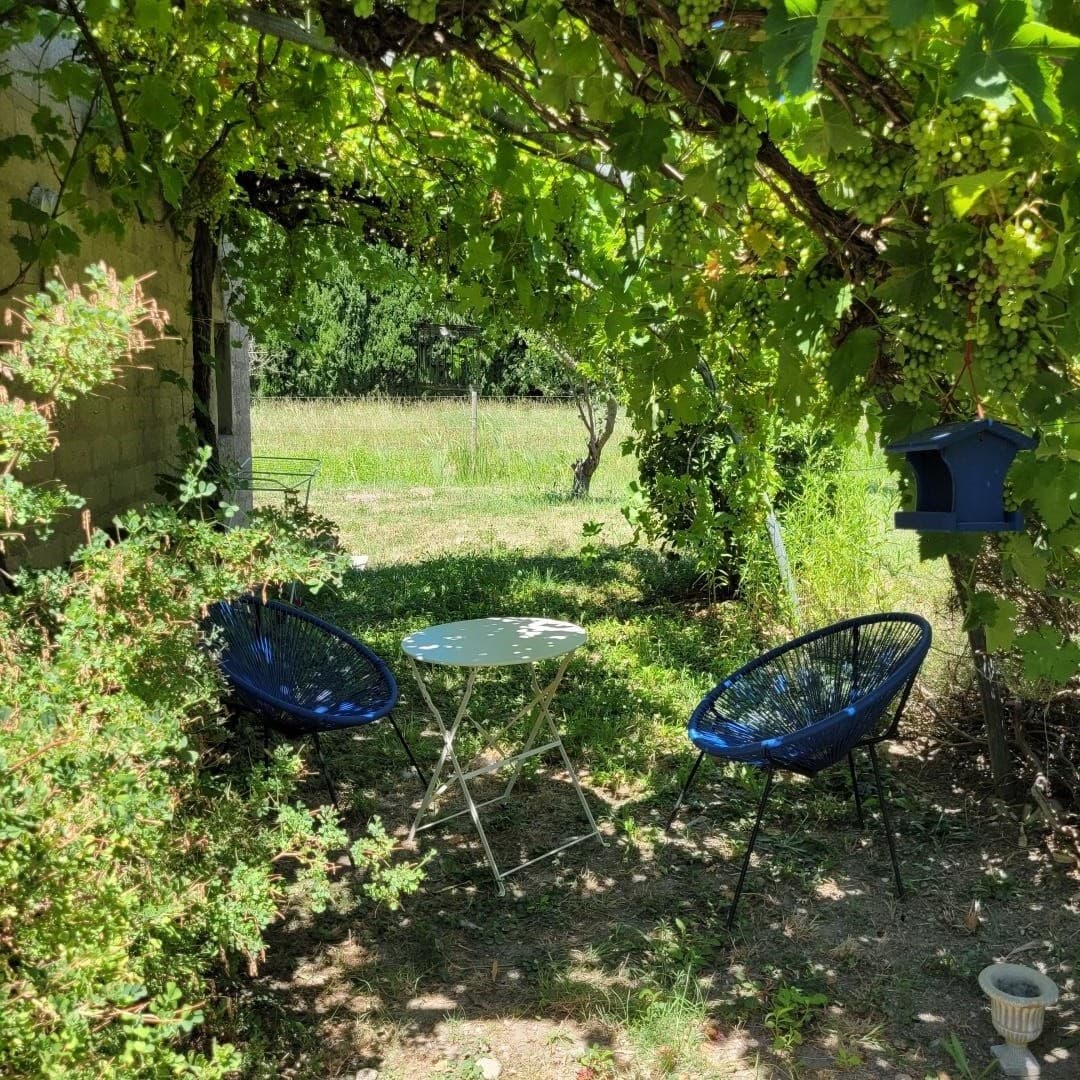 Le Cèdre