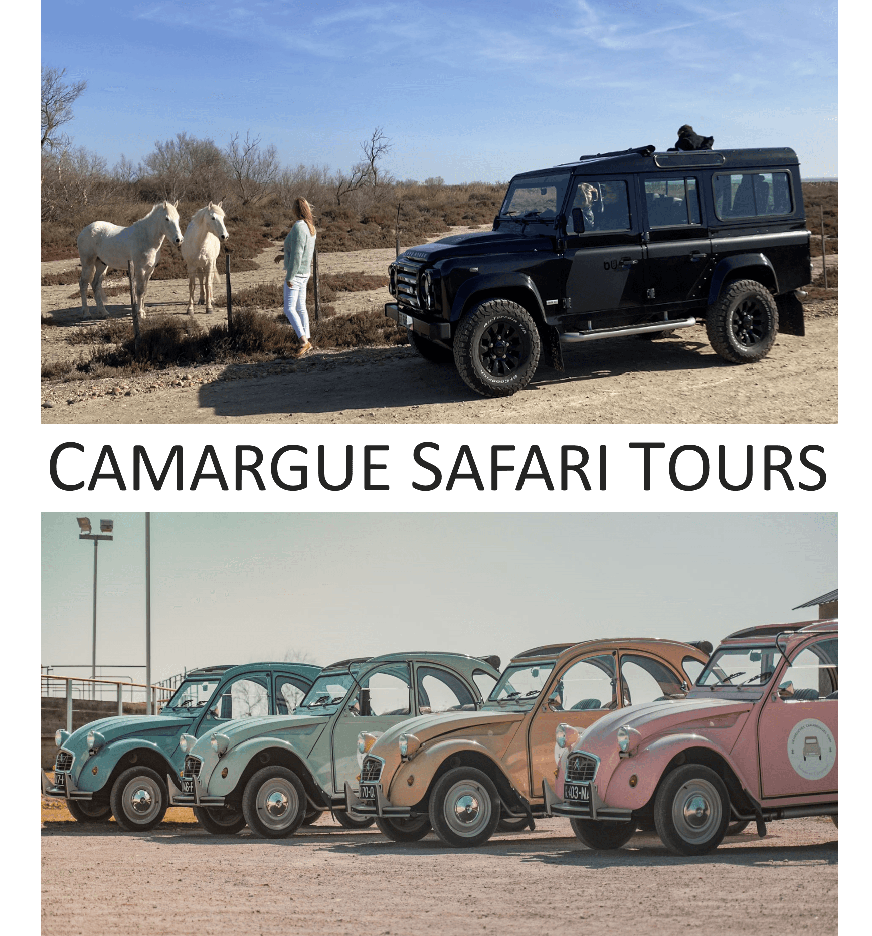Camargue Safari Tours_Saintes-Maries-de-la-Mer
