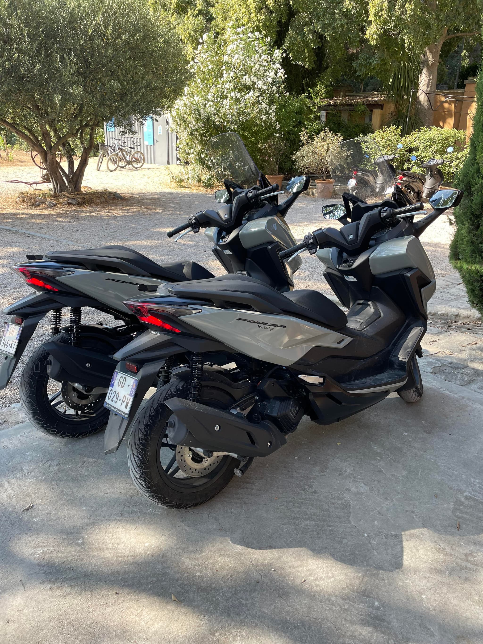 Calank Scoot