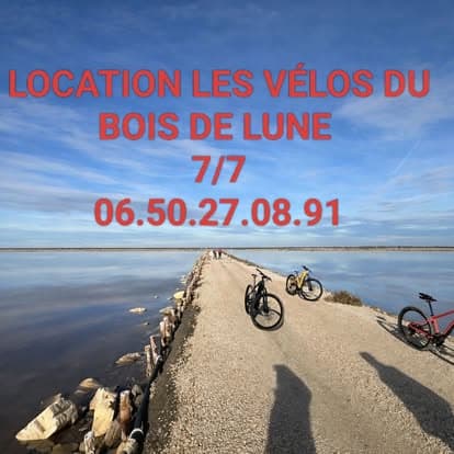 Location de vélos du bois de lune_Arles