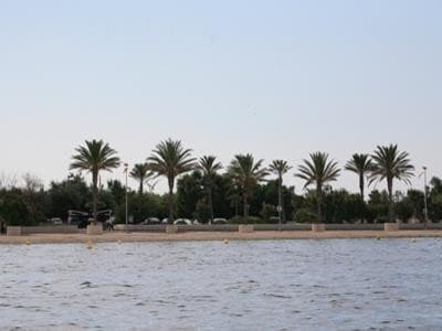 13SN000154_2_WEB.jpg