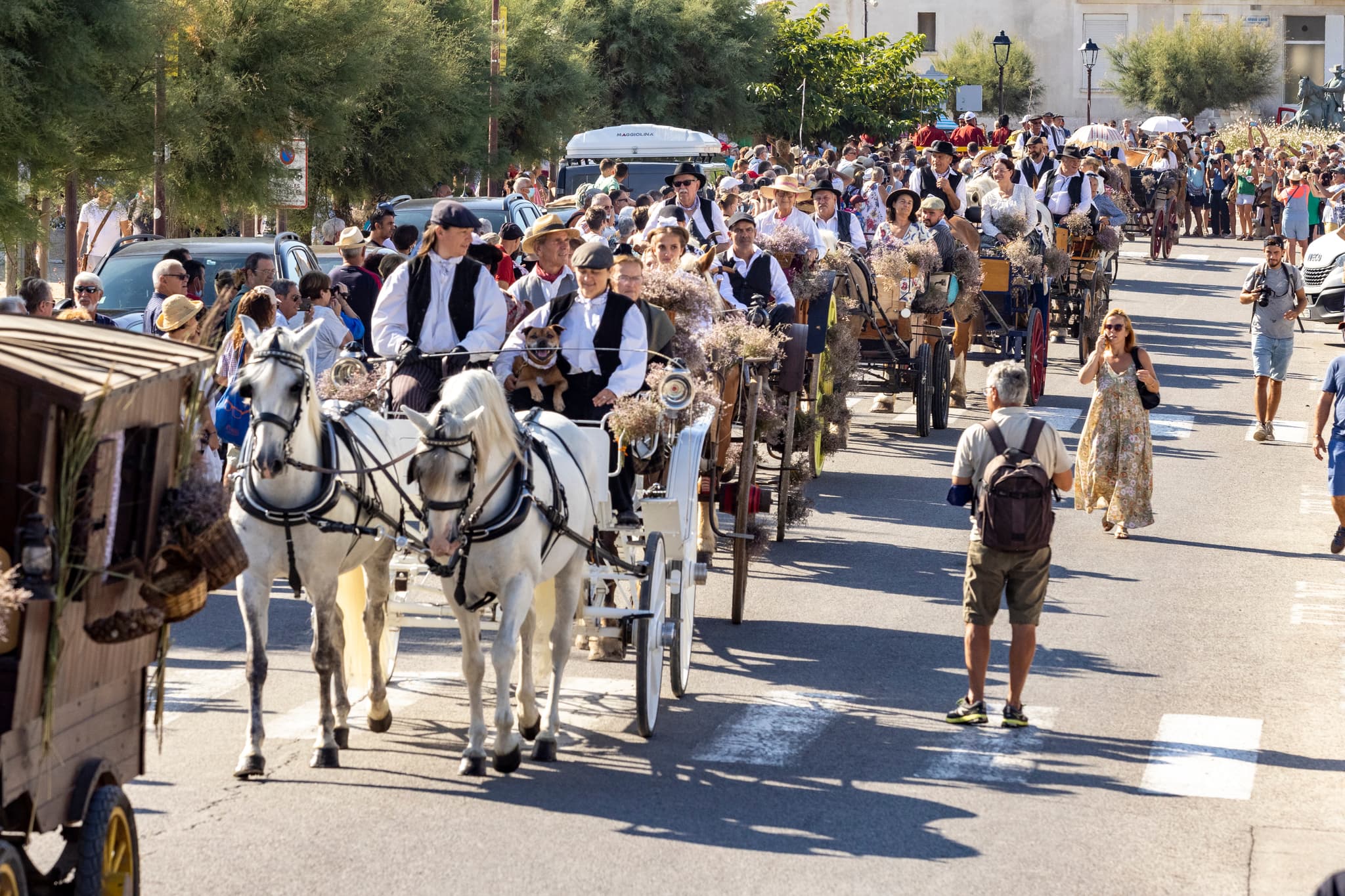 Fête de la saladelle_Saintes-Maries-de-la-Mer