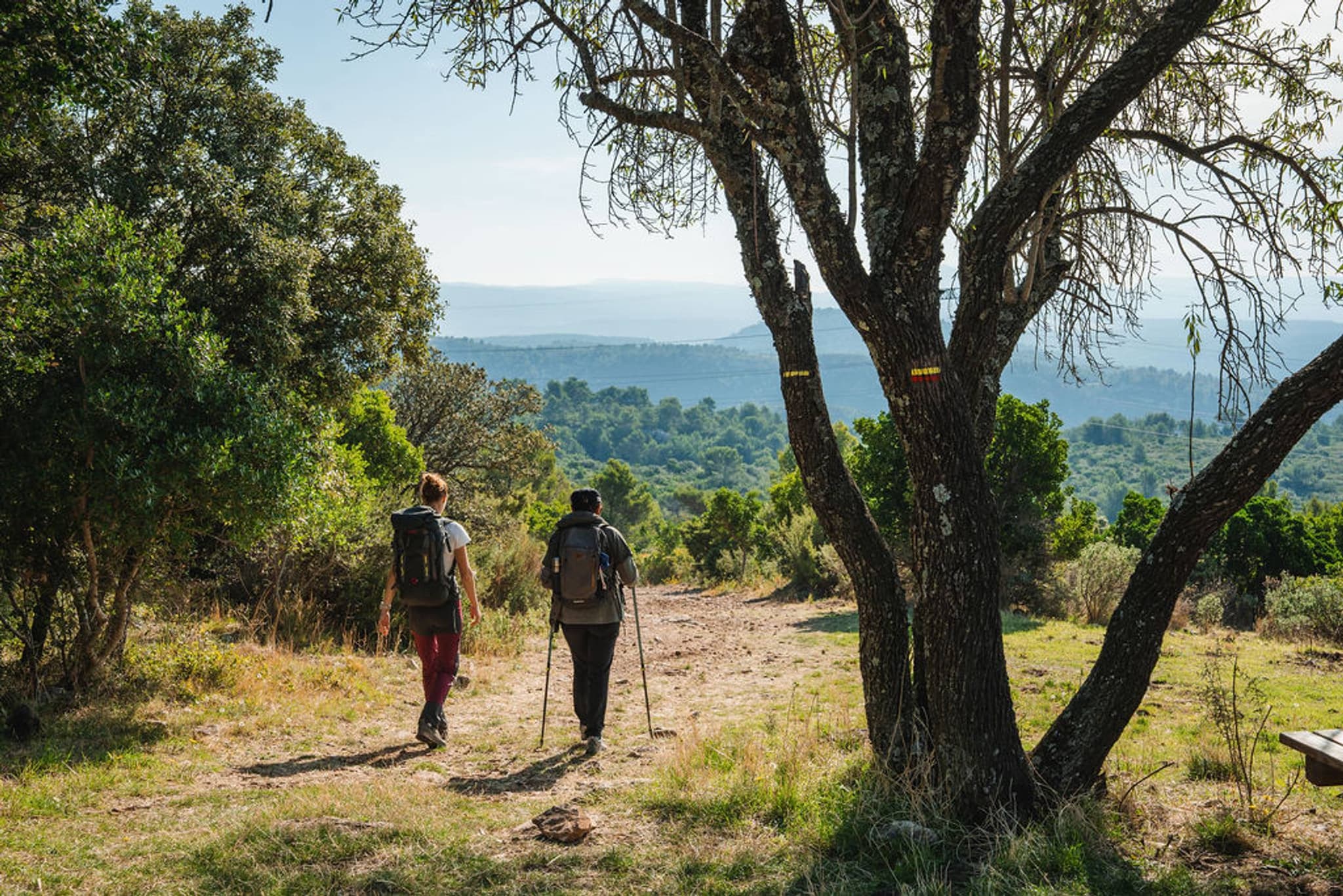 CUGES-LES-PINS - Crête de la Sainte-Baume et Jas de Frédéric