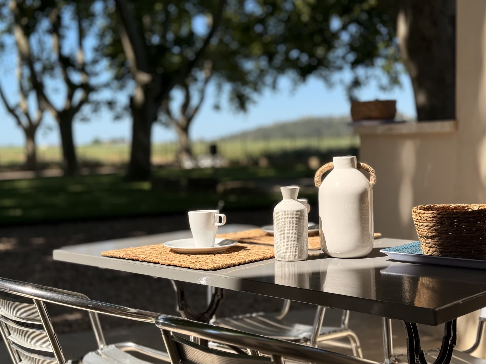 Domaine de Laforest_Fontvieille