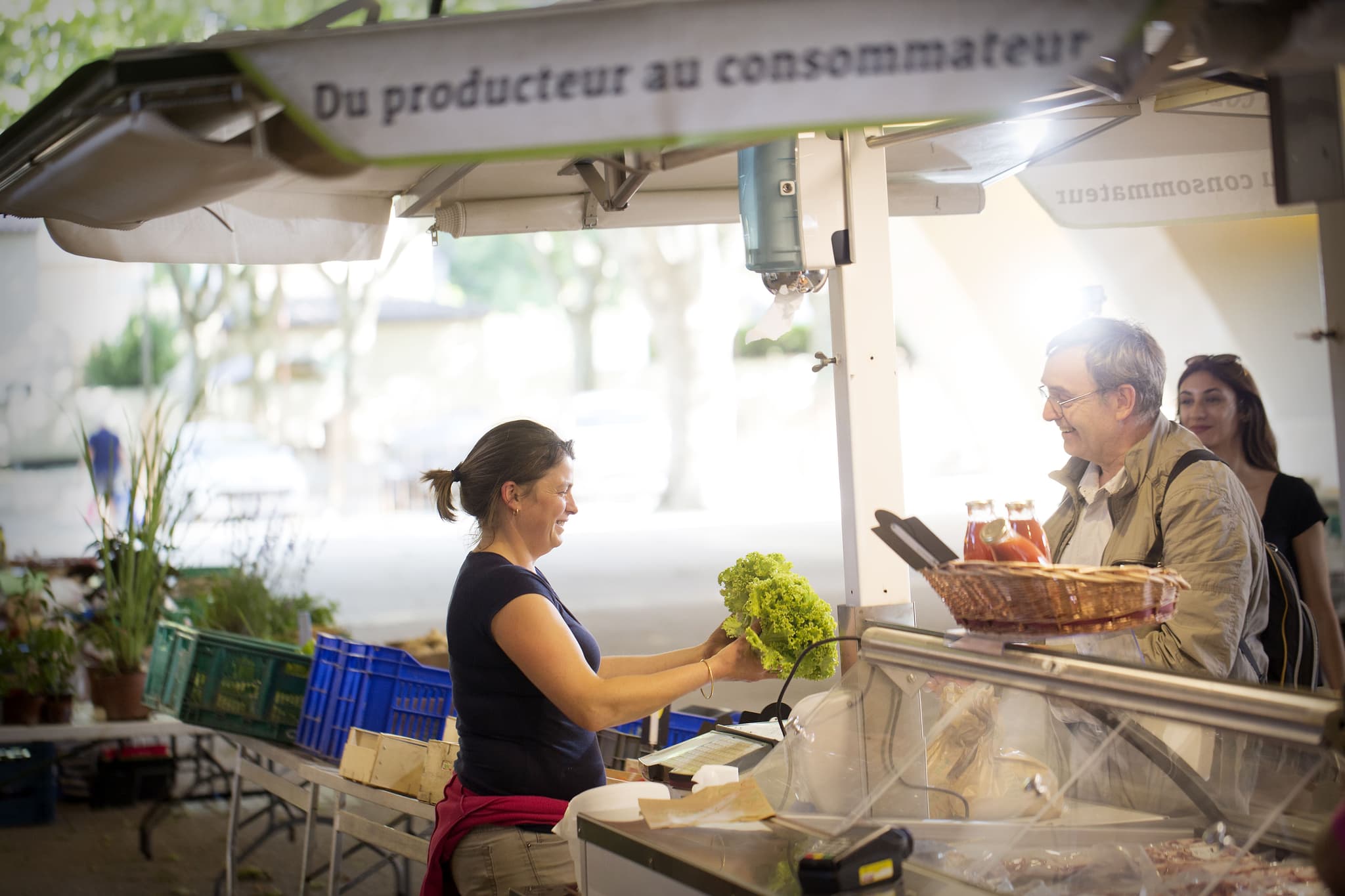 Marché des producteurs de Saint-Martin-de-Crau_Saint-Martin-de-Crau
