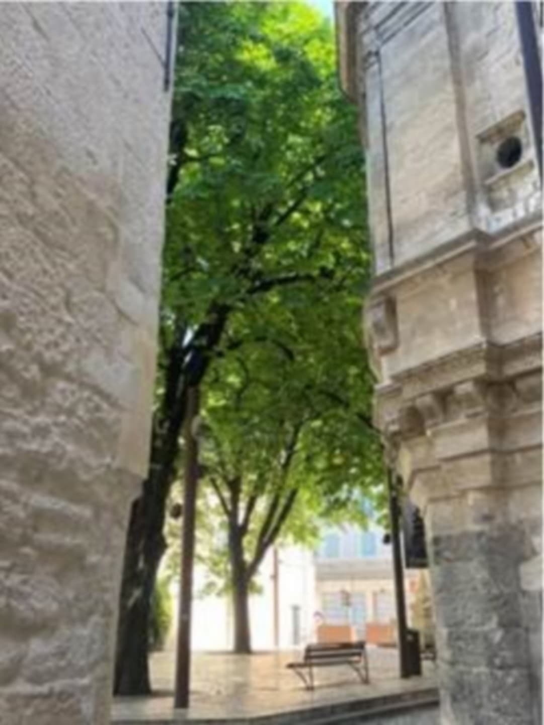 French_Connection_Provence_4