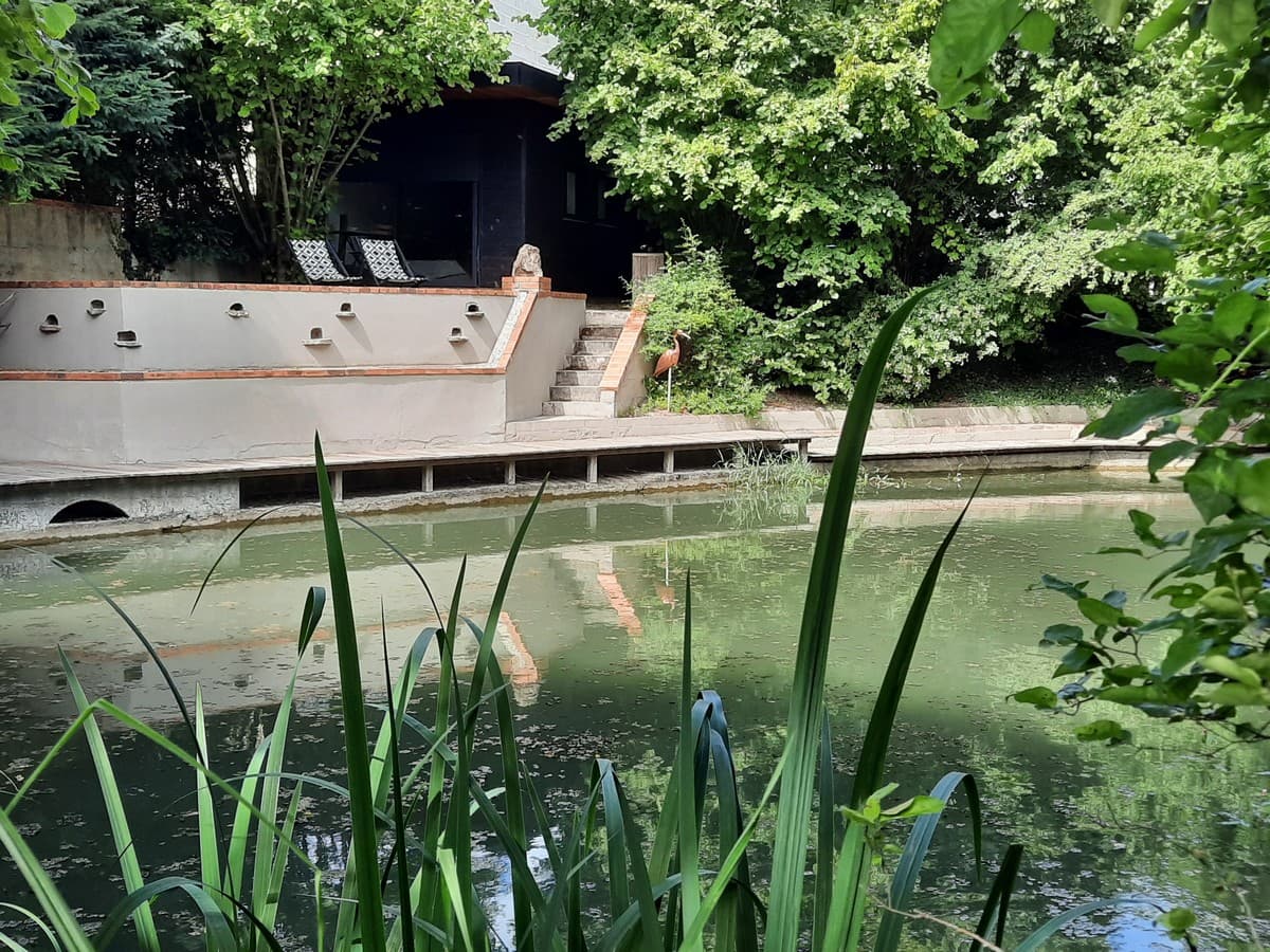 La cabane de troyes.jpg