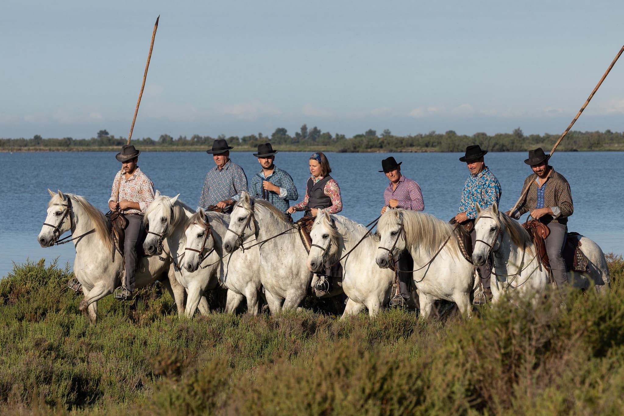 Domaine_de_mejanes_chevaux
