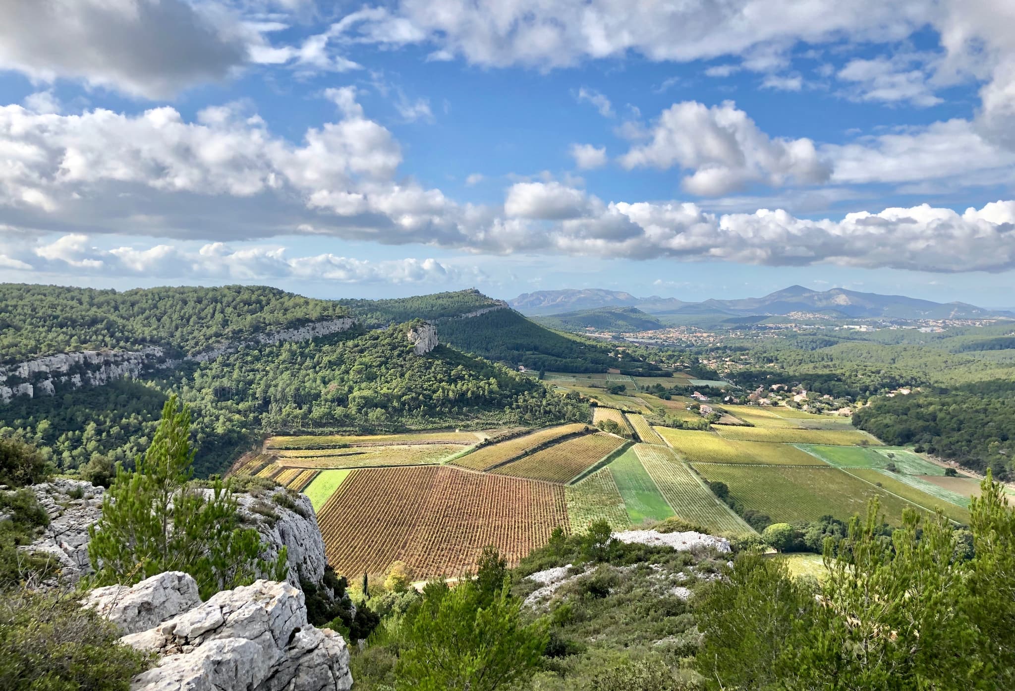 Château de Roquefort_Roquefort-la-Bédoule