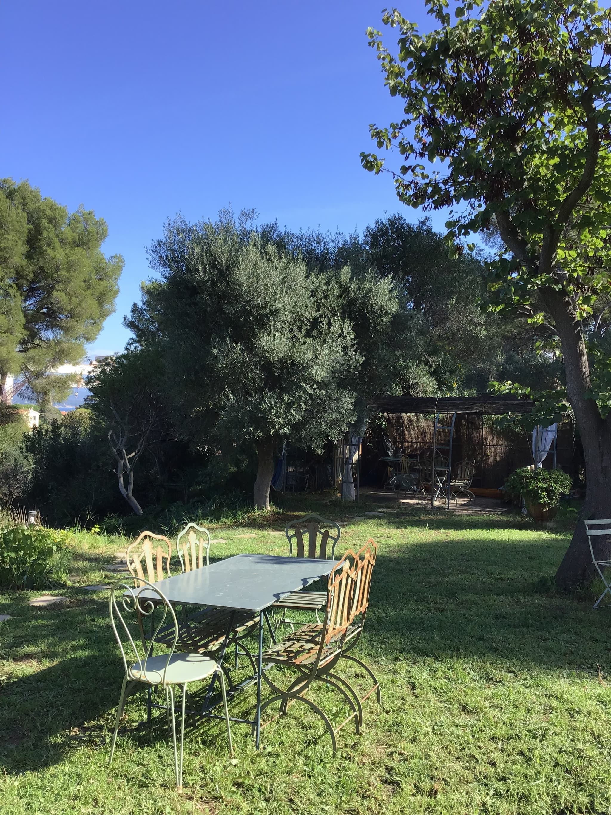 Jardin 1