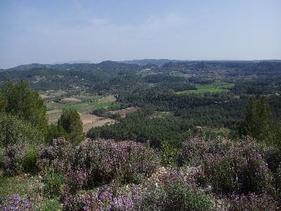 13VIS001486_1_WEB.jpg