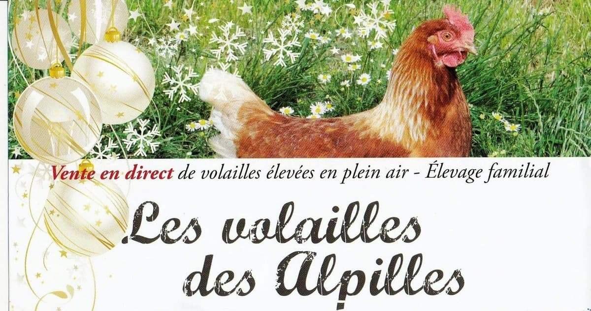 Les Volailles des Alpilles