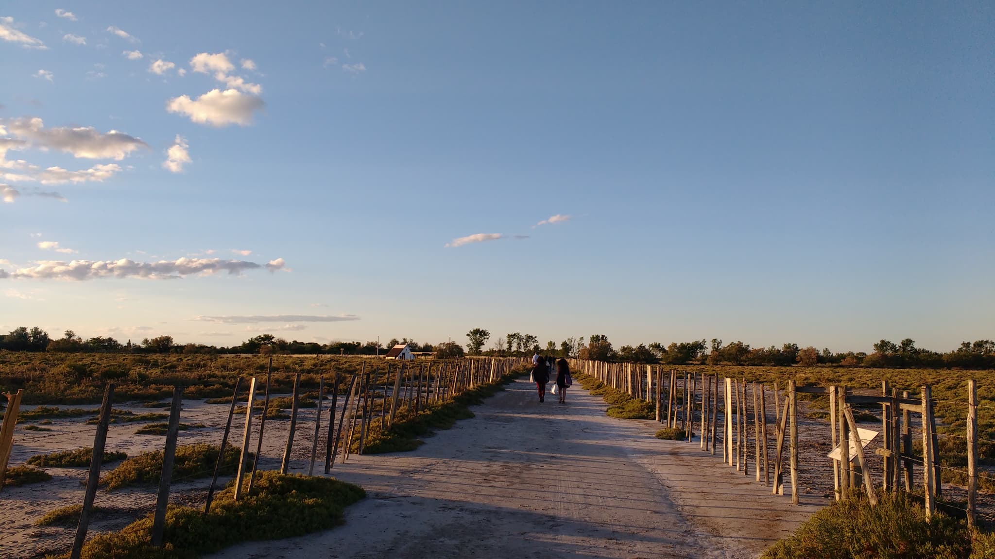 Musée de la Camargue
