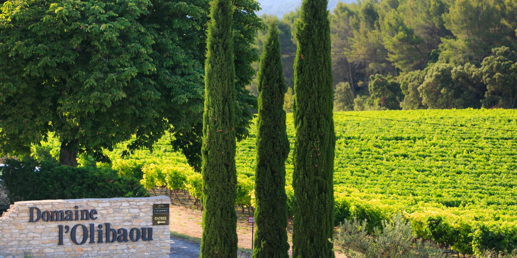 Domaine de L'Olibaou