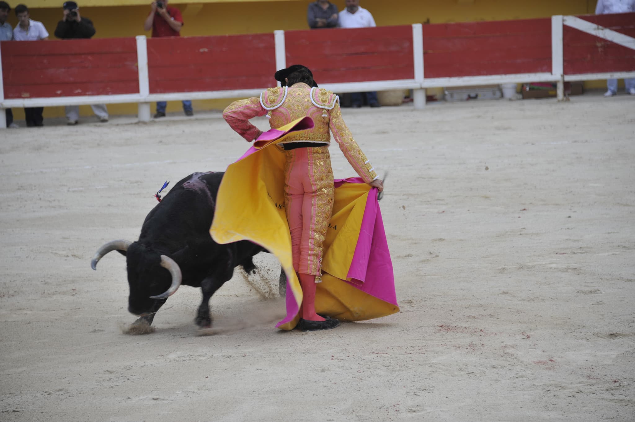 Corrida 6 toros_Saintes-Maries-de-la-Mer