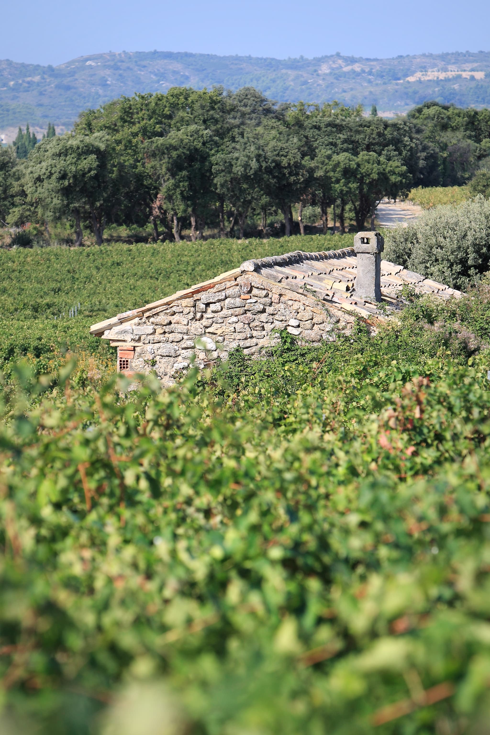 Domaine des Béates_Lambesc