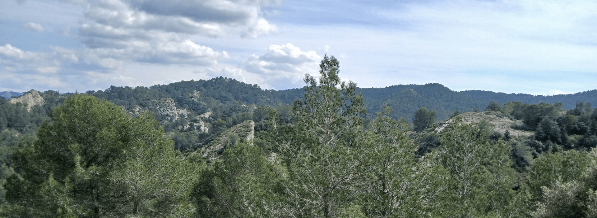 La Lèque_Saint-Rémy-de-Provence