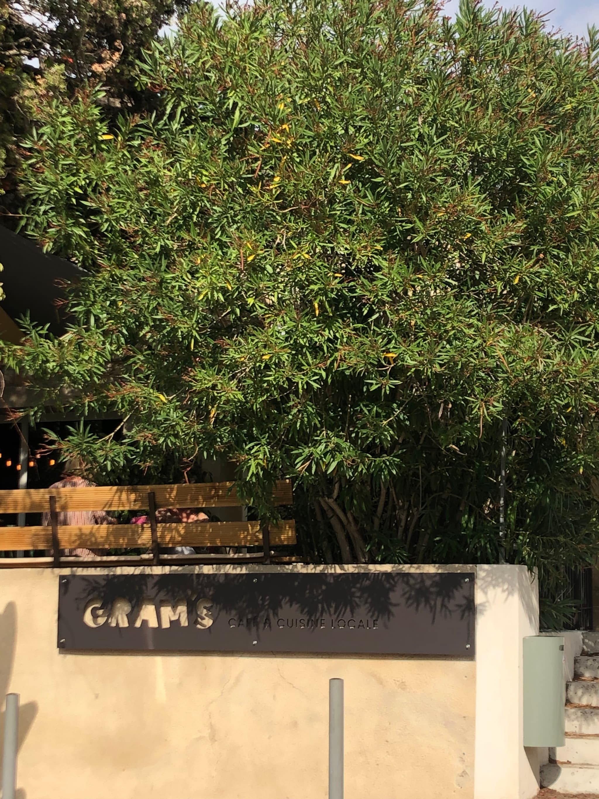 Gram's