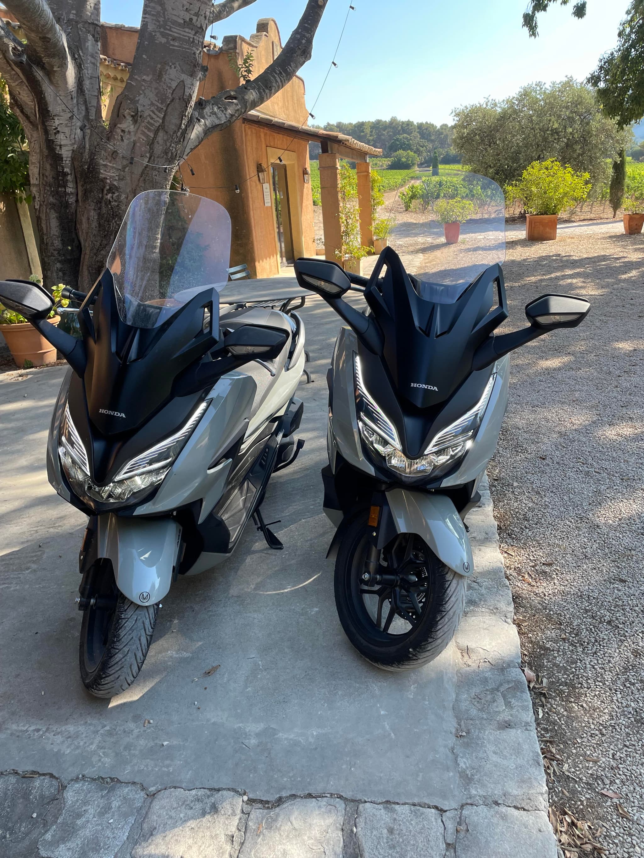 Calank Scoot