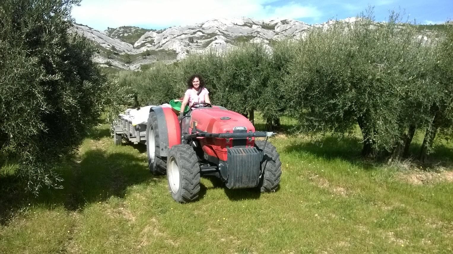 L'Ouliveto