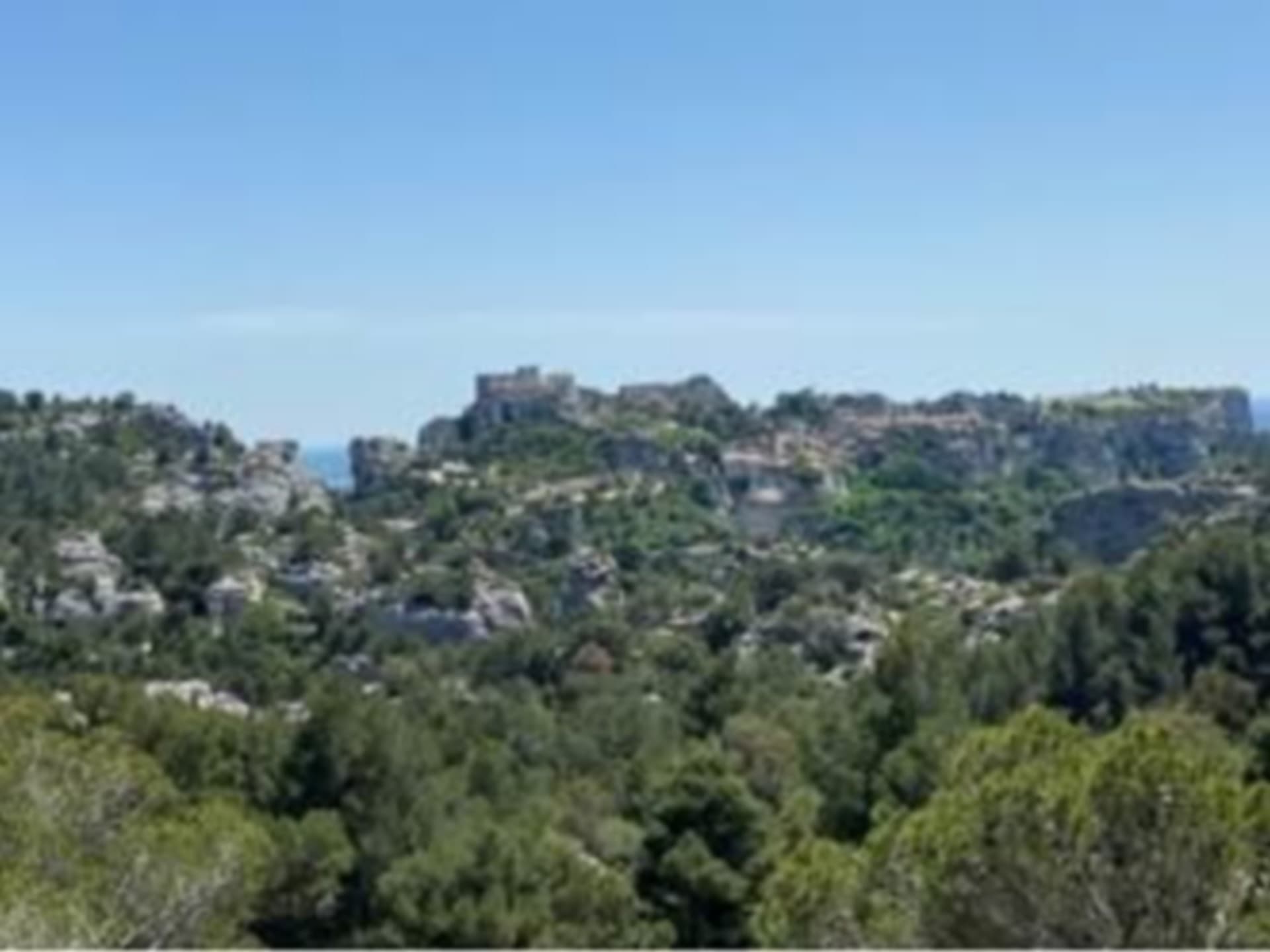 French_Connection_Provence_8