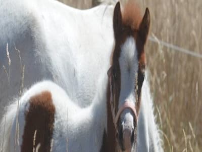 13SP001566_1_WEB.jpg