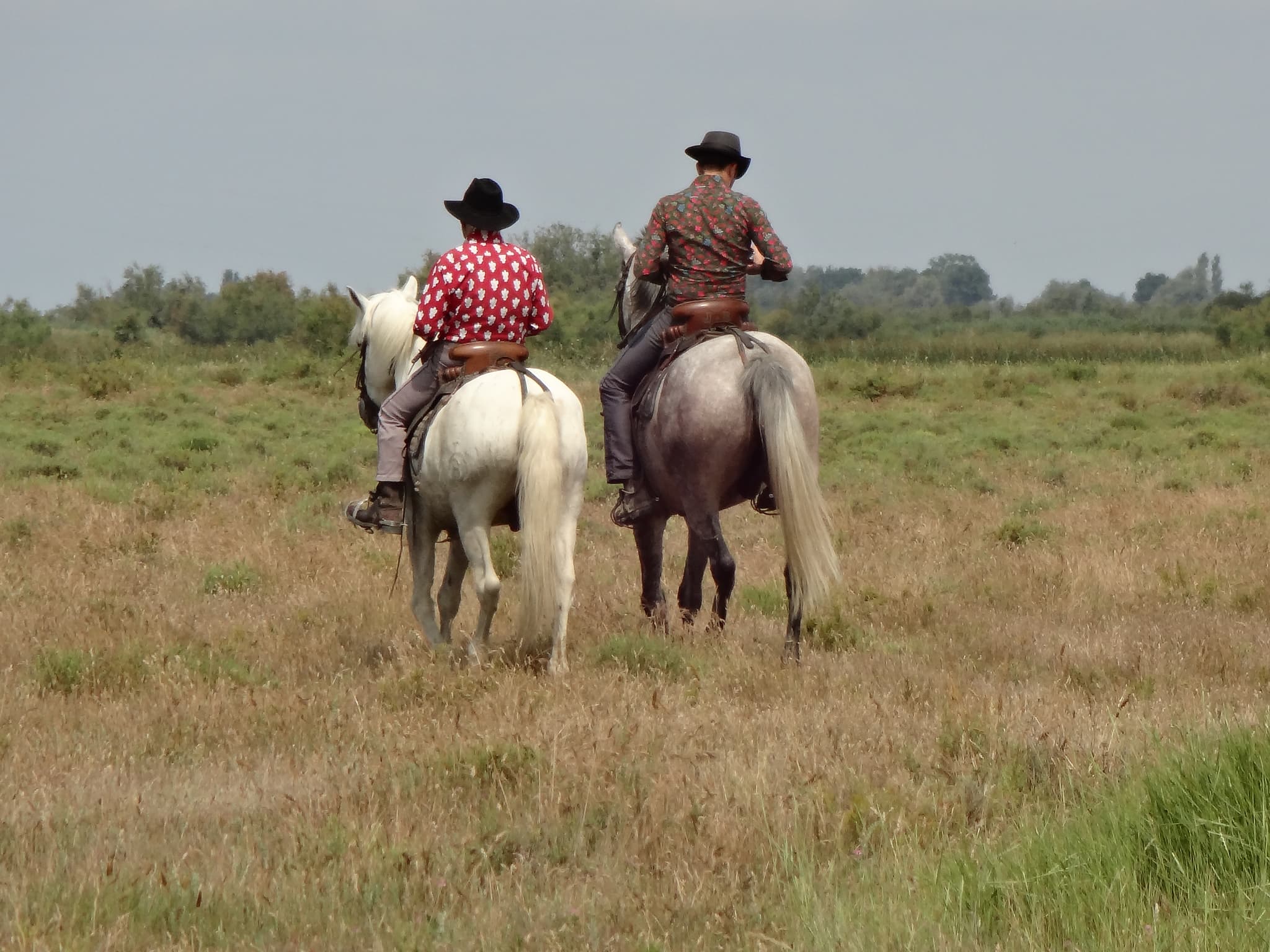 Visite à cheval à la manade Jacques bon_Arles