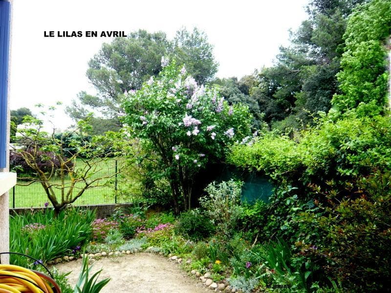 L'Olivade
