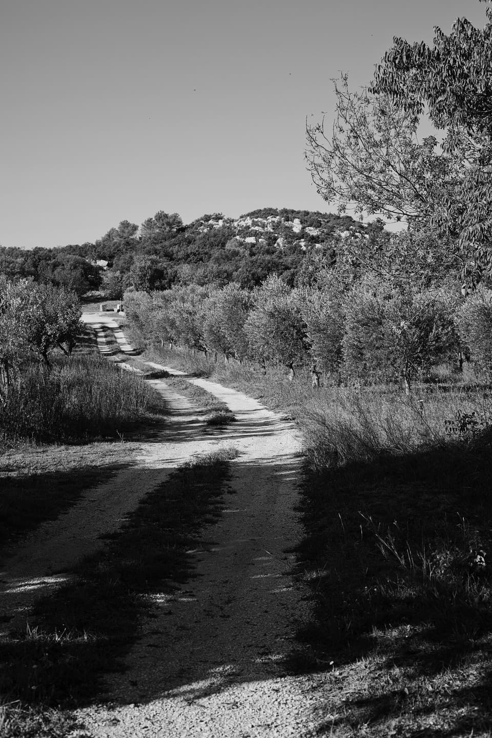 Relais du Castelet