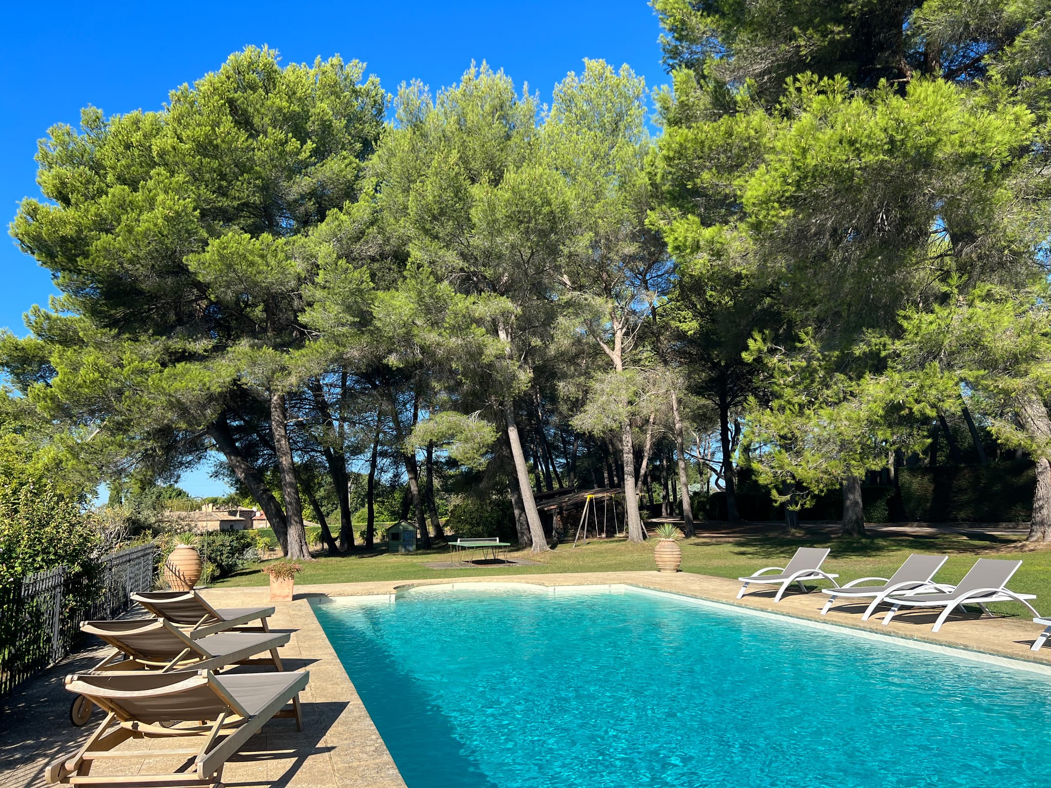 Vue sur les pins