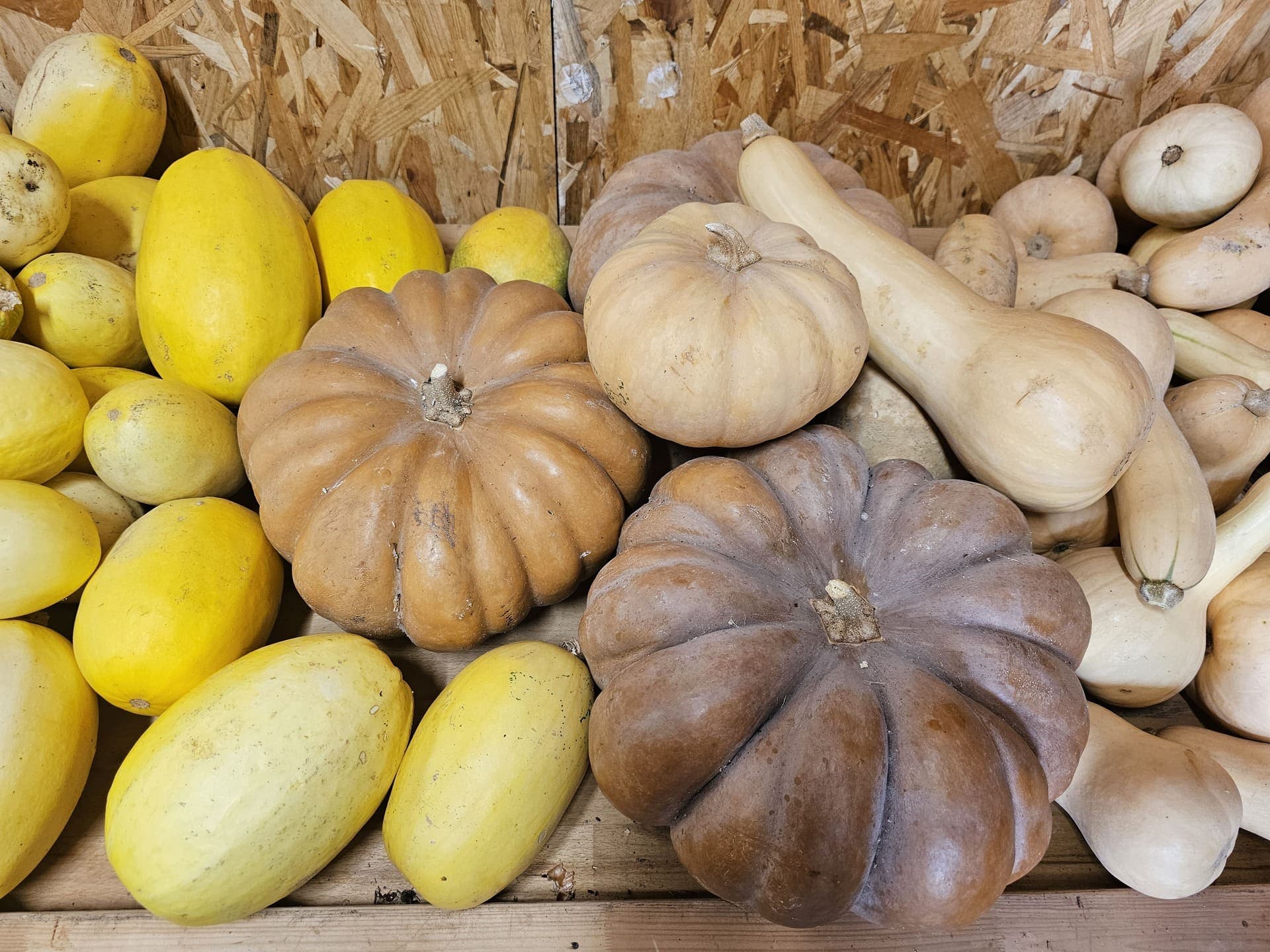 Atelier cuisine à la ferme Aïoli Caganis_Martigues