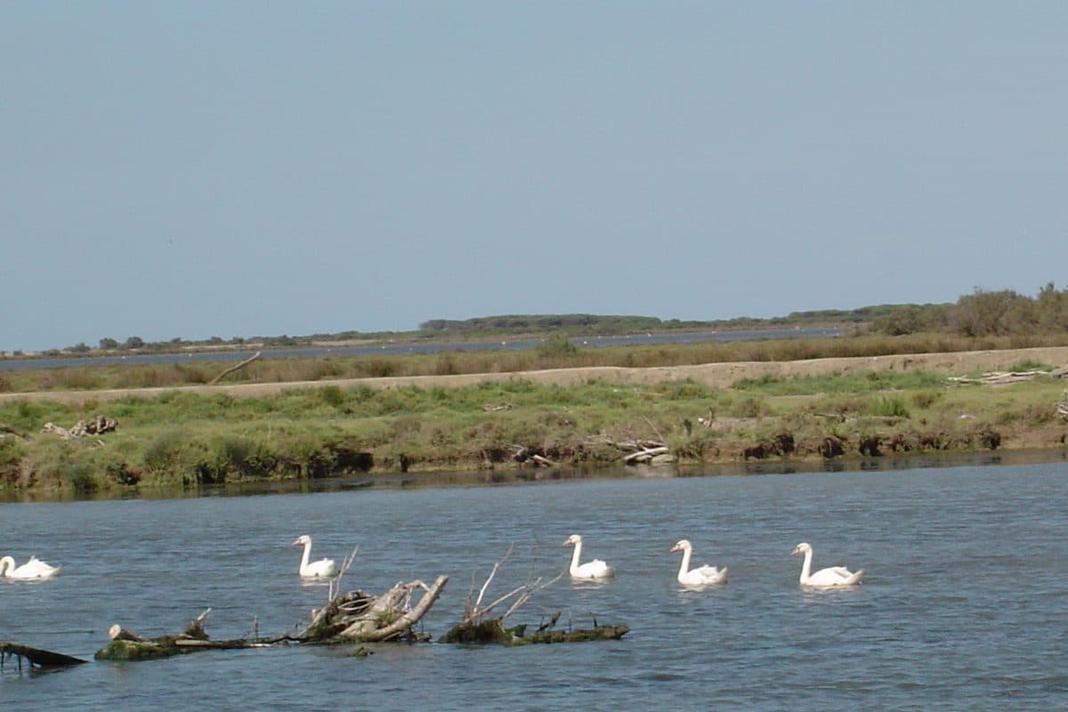 Bateau Les Quatre Maries