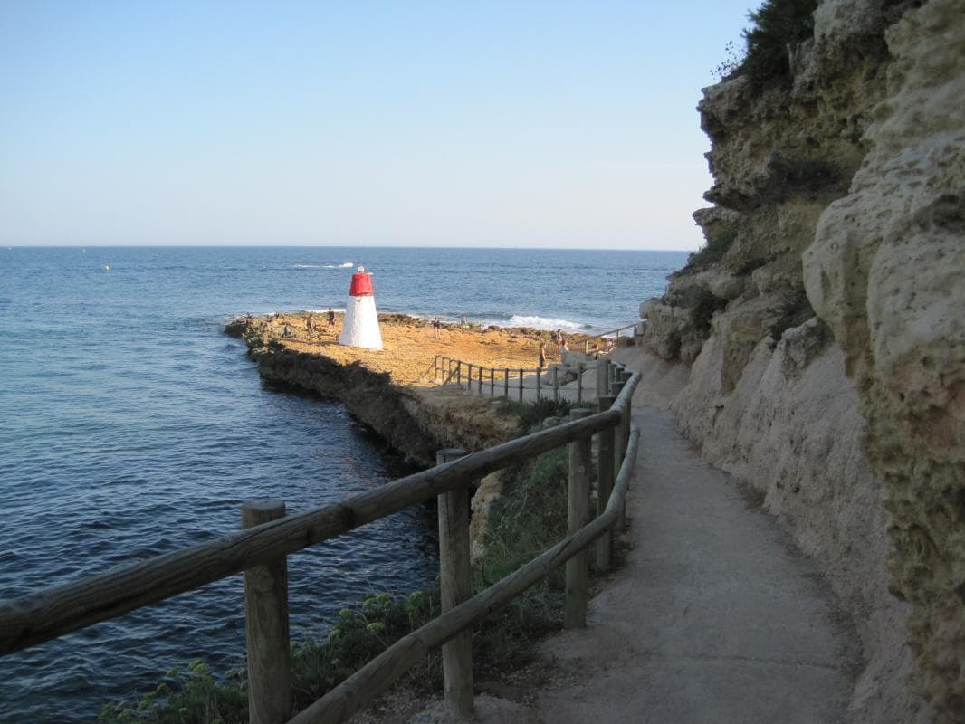 Le Margouillat