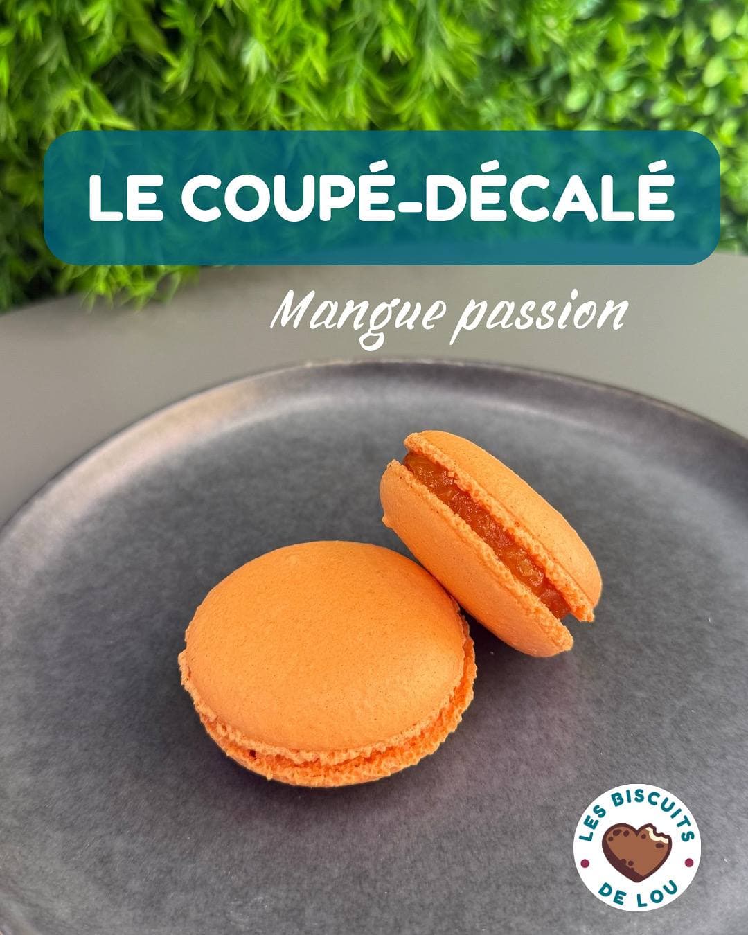 Macarons artisanaux