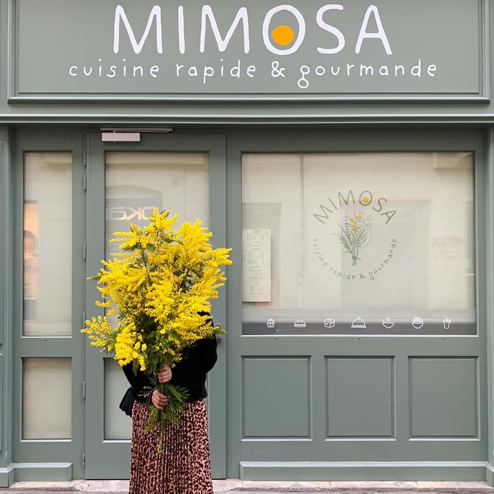 Mimosa