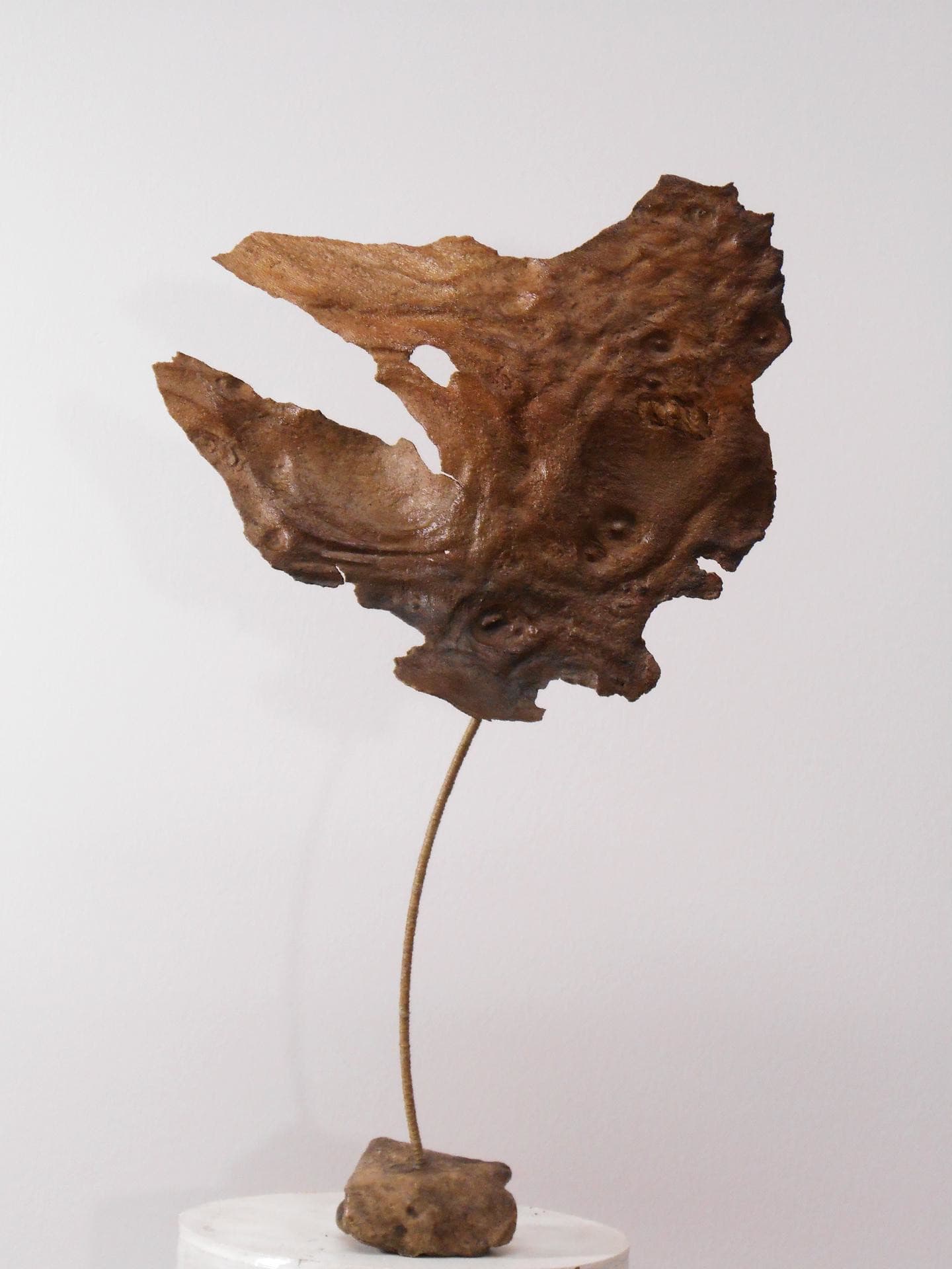 13ART005015_3_HD.jpg