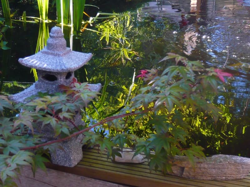 13CH000478_9_HD.jpg