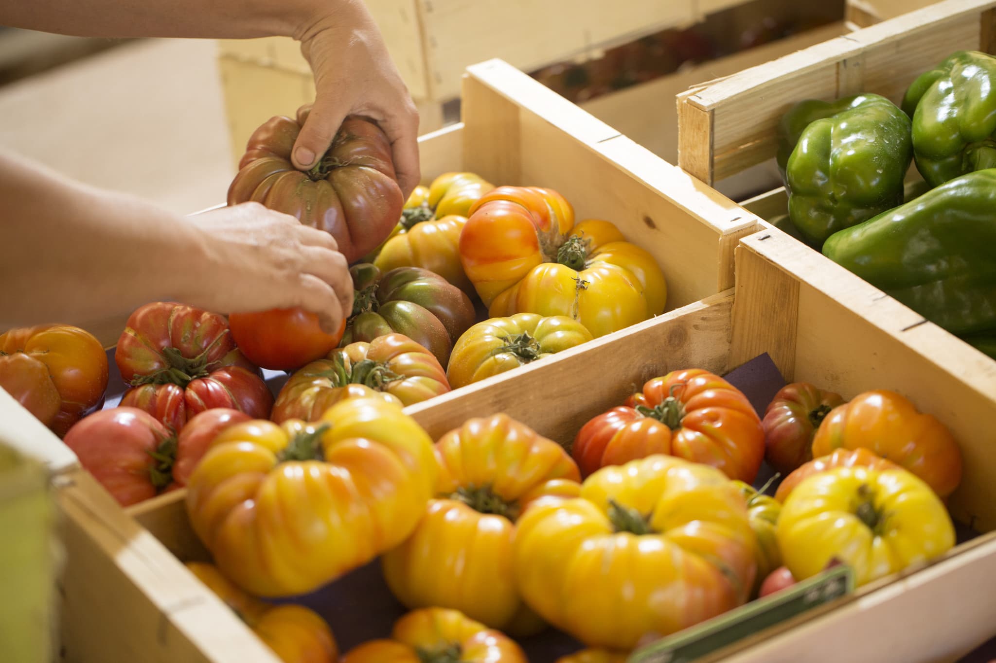Marché des producteurs de Saint-Martin-de-Crau_Saint-Martin-de-Crau