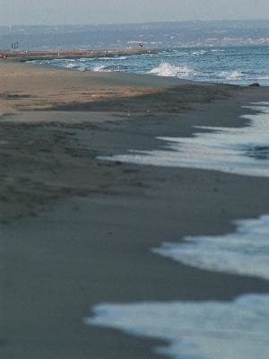 13SN000315_1_WEB.jpg