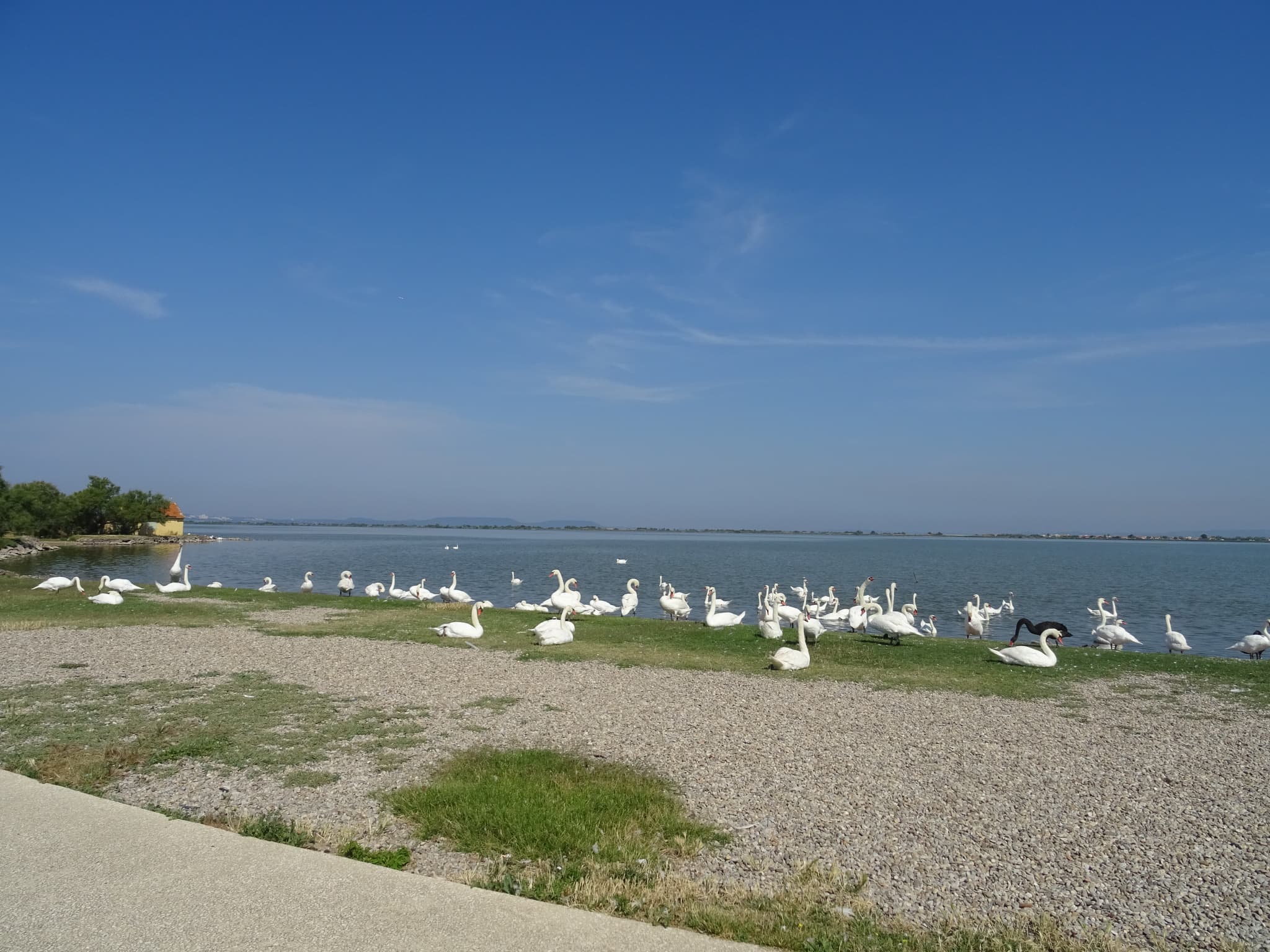 Marignane au fil de l'eau
