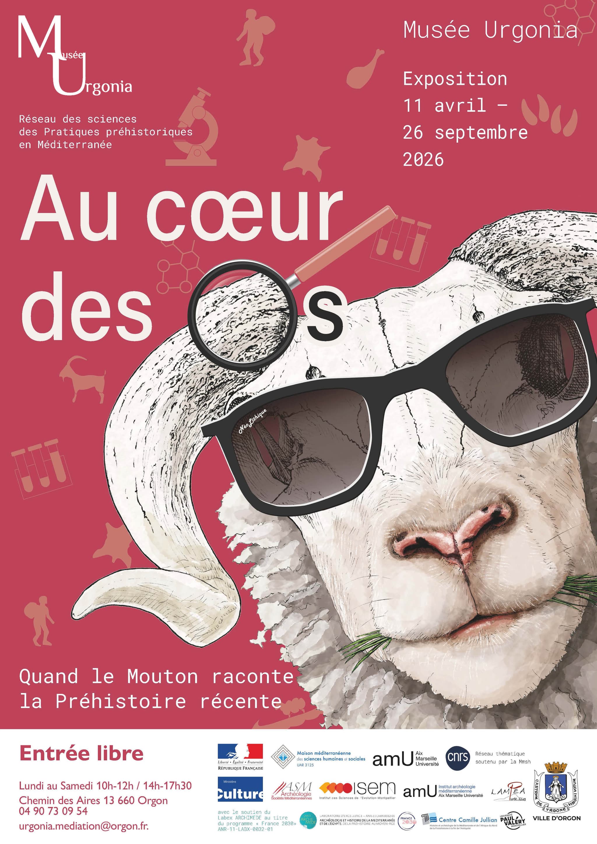 Exposition temporaire « Au cœur des os, quand le mouton raconte la Préhistoire récente »_Orgon
